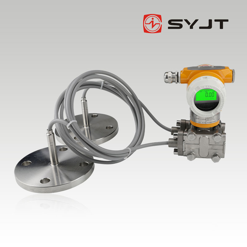 SY-3151DP双法兰液位变送器